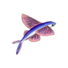 Exocet