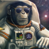 FlySabines53