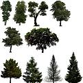 Cliquez sur l'image pour la voir en taille réelle&nbsp;

Nom : 		trees_hd1.jpg&nbsp;
Affichages :	93&nbsp;
Taille :		19,1 Ko&nbsp;
ID : 			462611