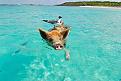 Cliquez sur l'image pour la voir en taille réelle&nbsp;

Nom : 		bahamas-Big-Major-Cay-opodo-pixabay.jpg&nbsp;
Affichages :	195&nbsp;
Taille :		117,0 Ko&nbsp;
ID : 			466769